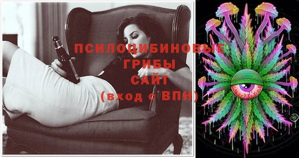 метамфетамин Богданович