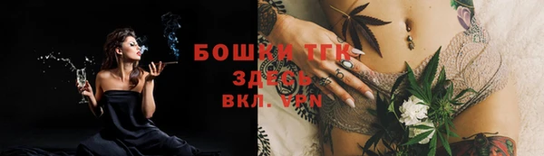 бошки Бронницы
