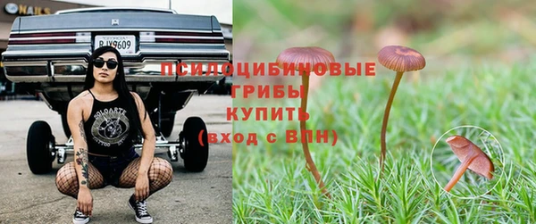 метамфетамин Богданович