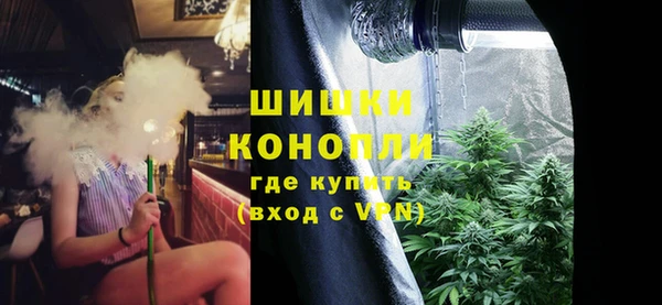 амф Богородицк