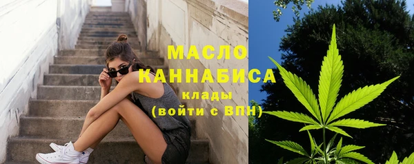 бошки Бронницы