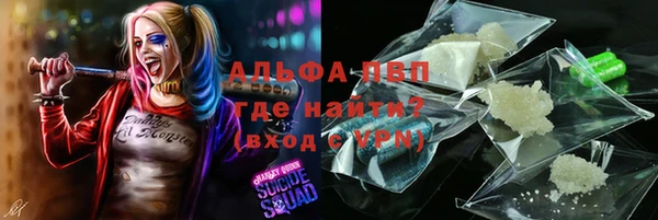 амф Богородицк