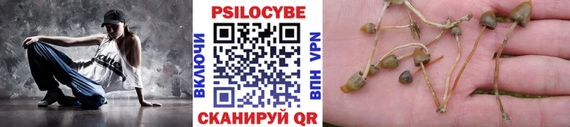 Галлюциногенные грибы Cubensis  Билибино 